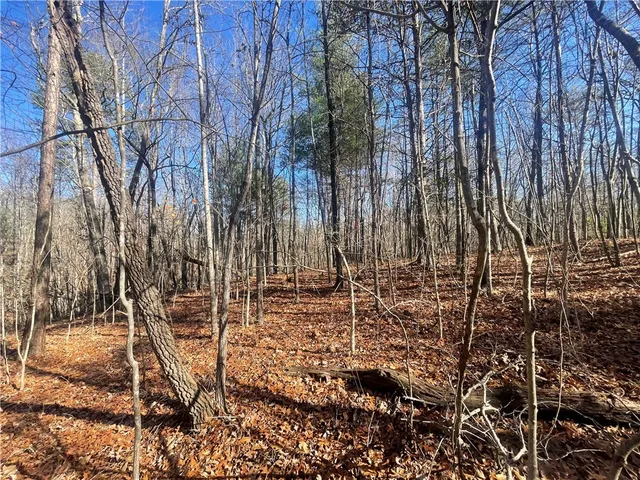 $150,000 | 0 Cassidy Bridge, Mountain Rest, SC 29664