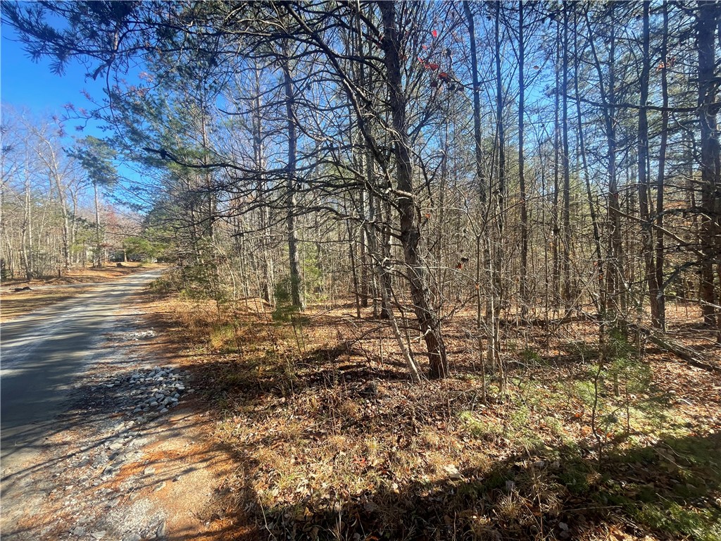 0 Cassidy Bridge Mountain Rest, SC 29664 - Photo 20 of 50