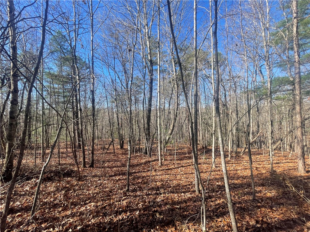 0 Cassidy Bridge Mountain Rest, SC 29664 - Photo 21 of 50
