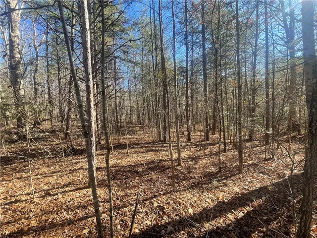 $150,000 | 0 Cassidy Bridge, Mountain Rest, SC 29664