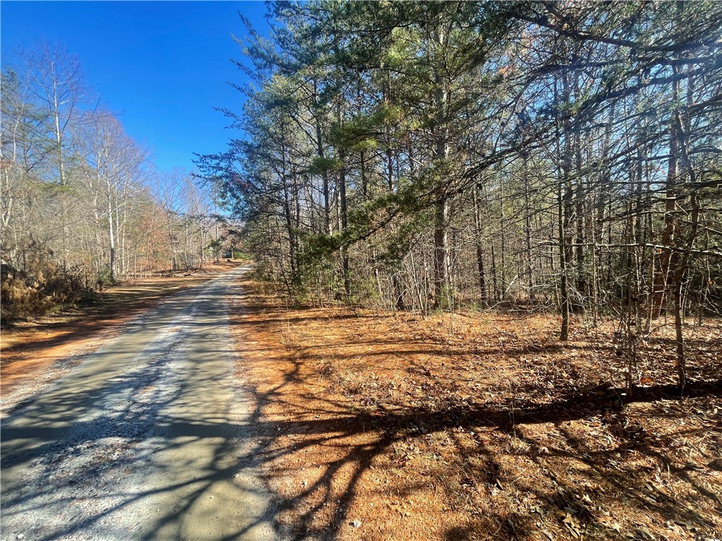 0 Cassidy Bridge Mountain Rest, SC 29664 - Photo 23 of 50