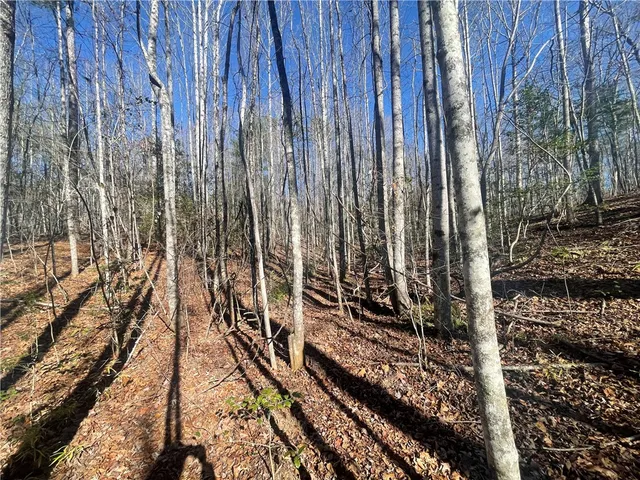 $150,000 | 0 Cassidy Bridge, Mountain Rest, SC 29664