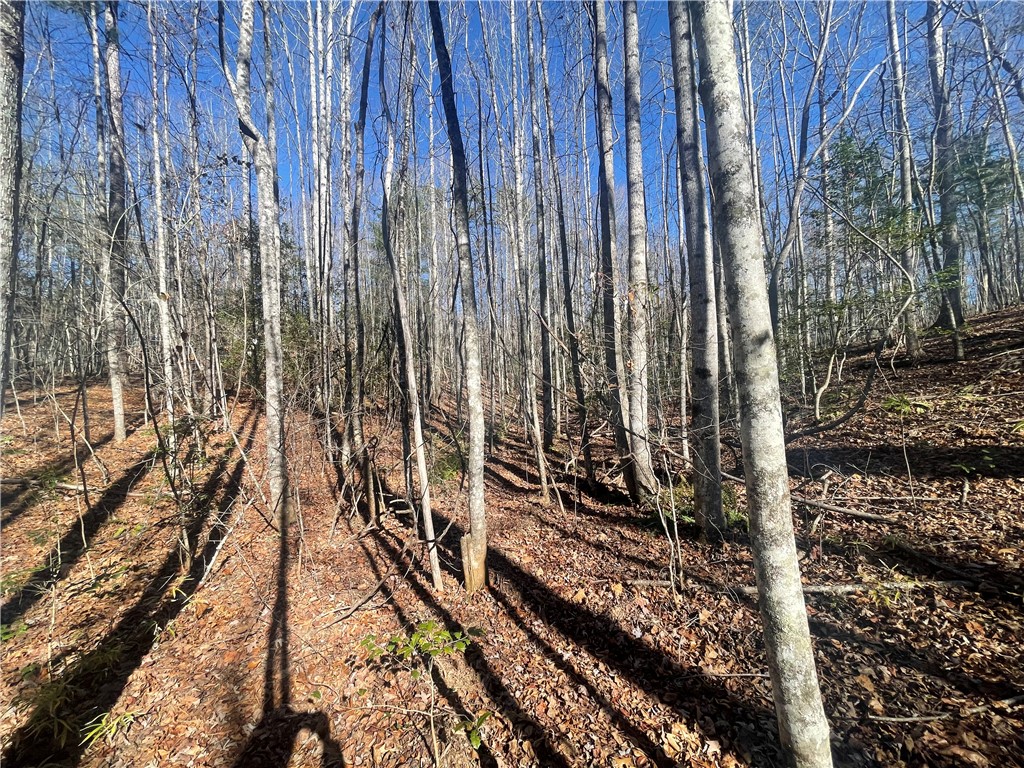 0 Cassidy Bridge Mountain Rest, SC 29664 - Photo 24 of 50