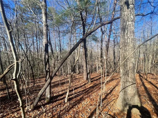 $150,000 | 0 Cassidy Bridge, Mountain Rest, SC 29664