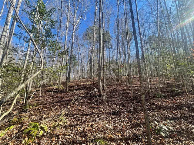 $150,000 | 0 Cassidy Bridge, Mountain Rest, SC 29664