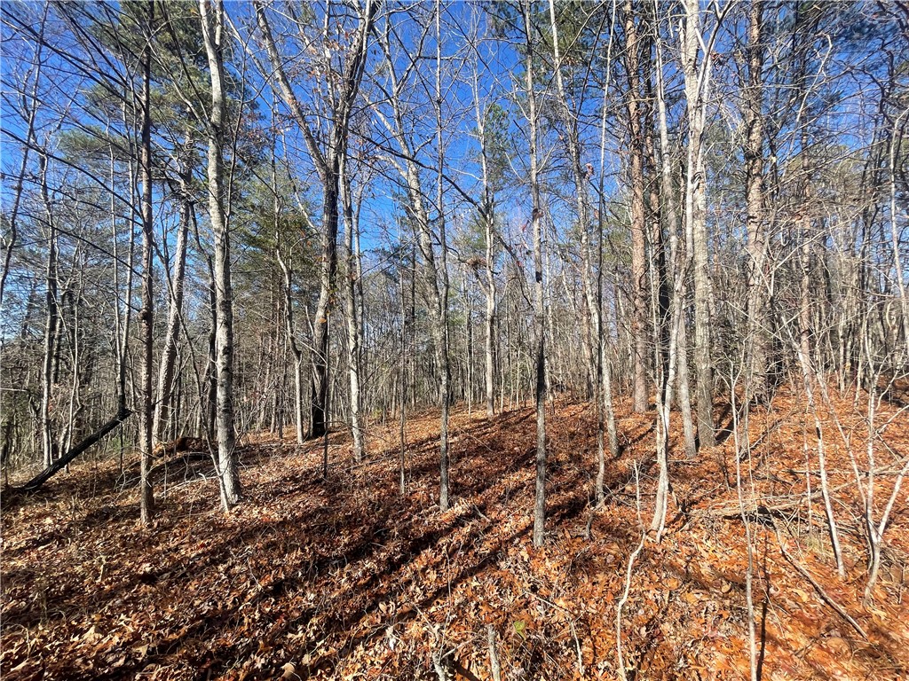 0 Cassidy Bridge Mountain Rest, SC 29664 - Photo 30 of 50