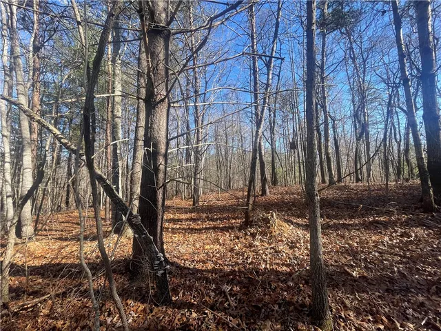 $150,000 | 0 Cassidy Bridge, Mountain Rest, SC 29664