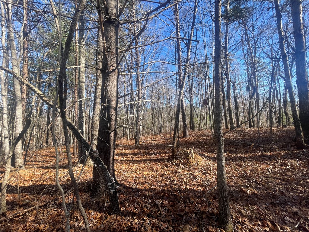 0 Cassidy Bridge Mountain Rest, SC 29664 - Photo 3 of 50