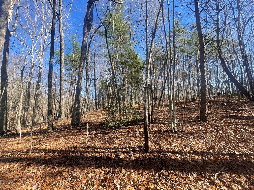 0 Cassidy Bridge Mountain Rest, SC 29664 - Photo 32 of 50