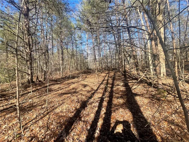 $150,000 | 0 Cassidy Bridge, Mountain Rest, SC 29664