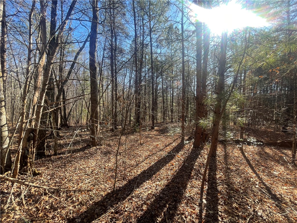 0 Cassidy Bridge Mountain Rest, SC 29664 - Photo 34 of 50