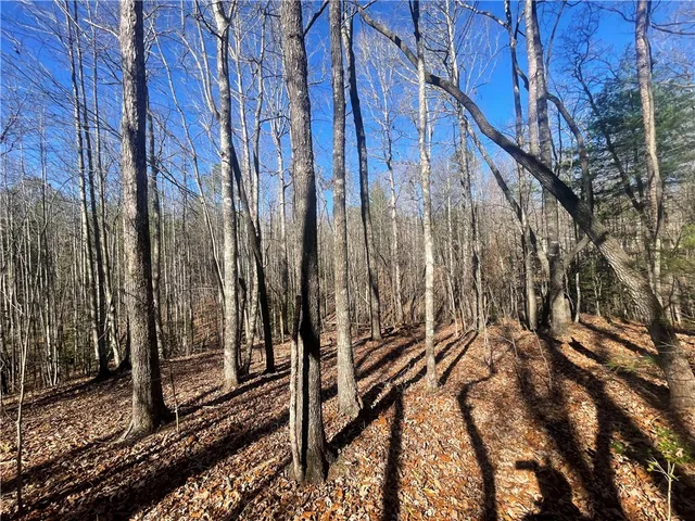 $150,000 | 0 Cassidy Bridge, Mountain Rest, SC 29664