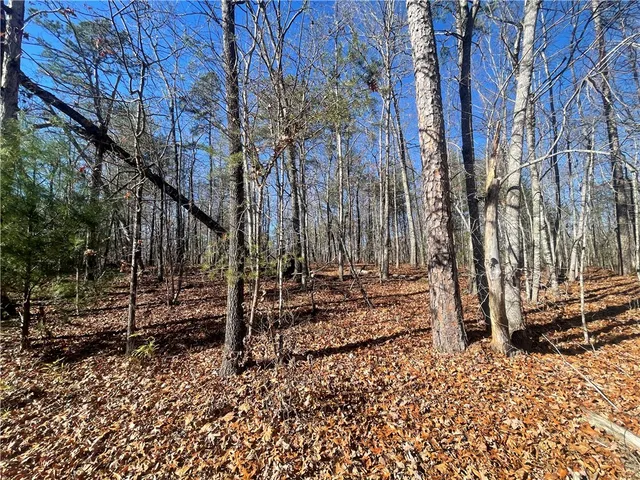$150,000 | 0 Cassidy Bridge, Mountain Rest, SC 29664