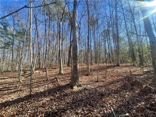 $150,000 | 0 Cassidy Bridge, Mountain Rest, SC 29664