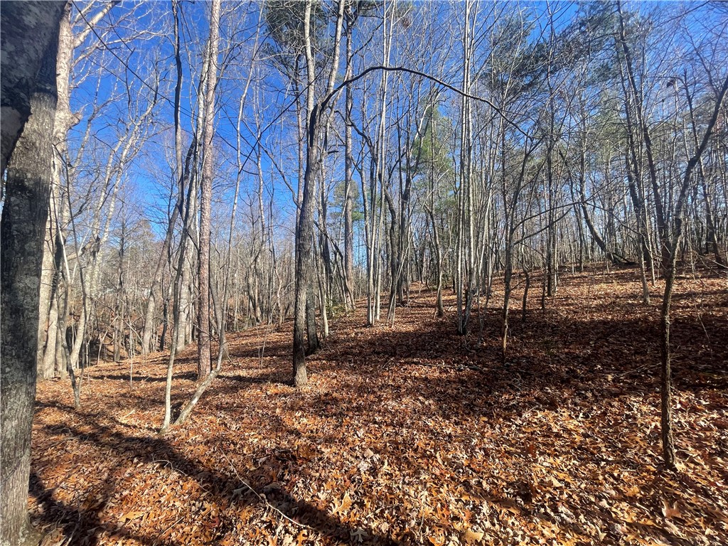 0 Cassidy Bridge Mountain Rest, SC 29664 - Photo 39 of 50