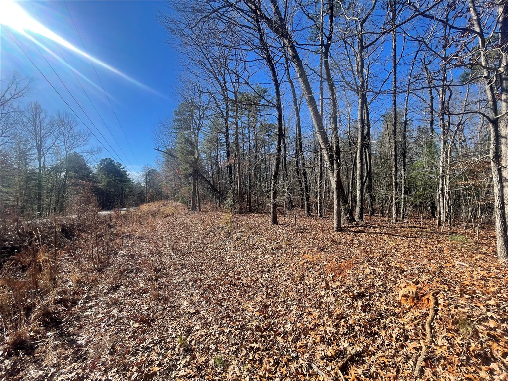 0 Cassidy Bridge Mountain Rest, SC 29664 - Photo 41 of 50