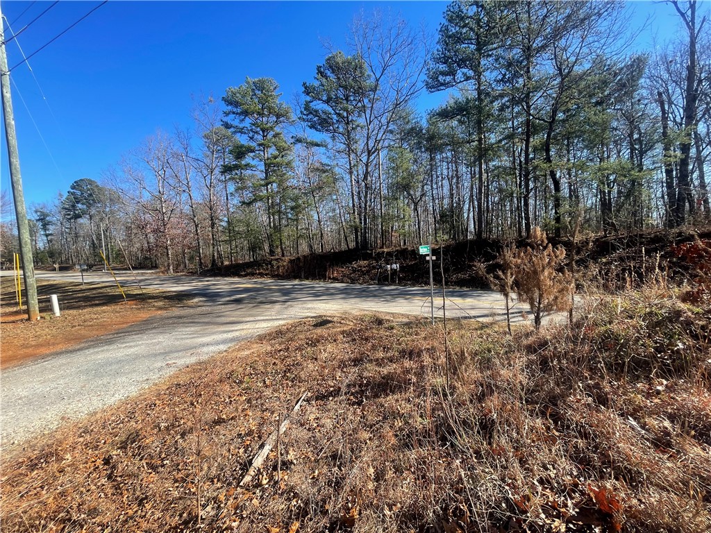 0 Cassidy Bridge Mountain Rest, SC 29664 - Photo 42 of 50