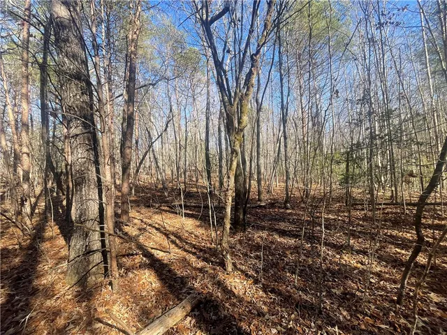 $150,000 | 0 Cassidy Bridge, Mountain Rest, SC 29664