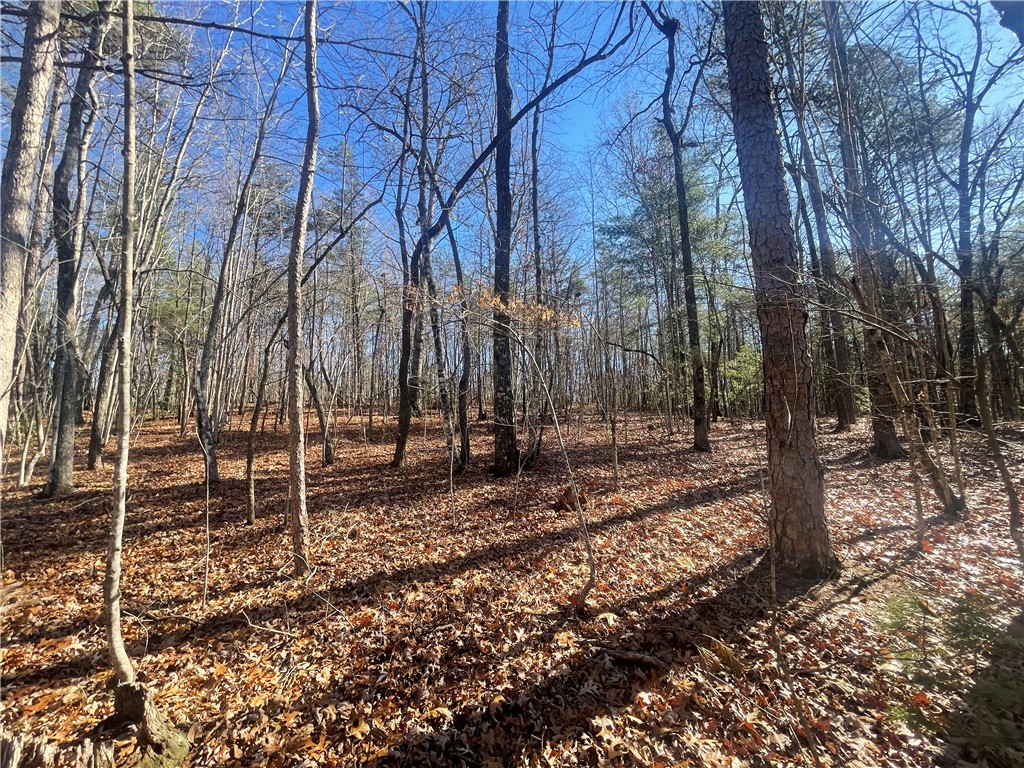 0 Cassidy Bridge Mountain Rest, SC 29664 - Photo 44 of 50