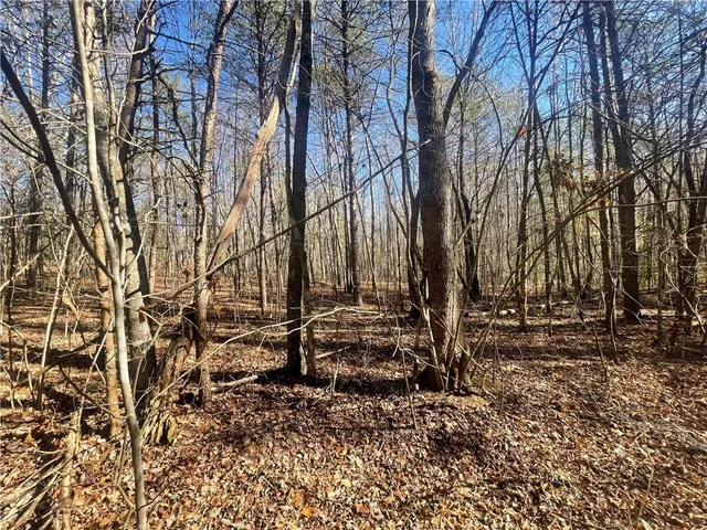 $150,000 | 0 Cassidy Bridge, Mountain Rest, SC 29664