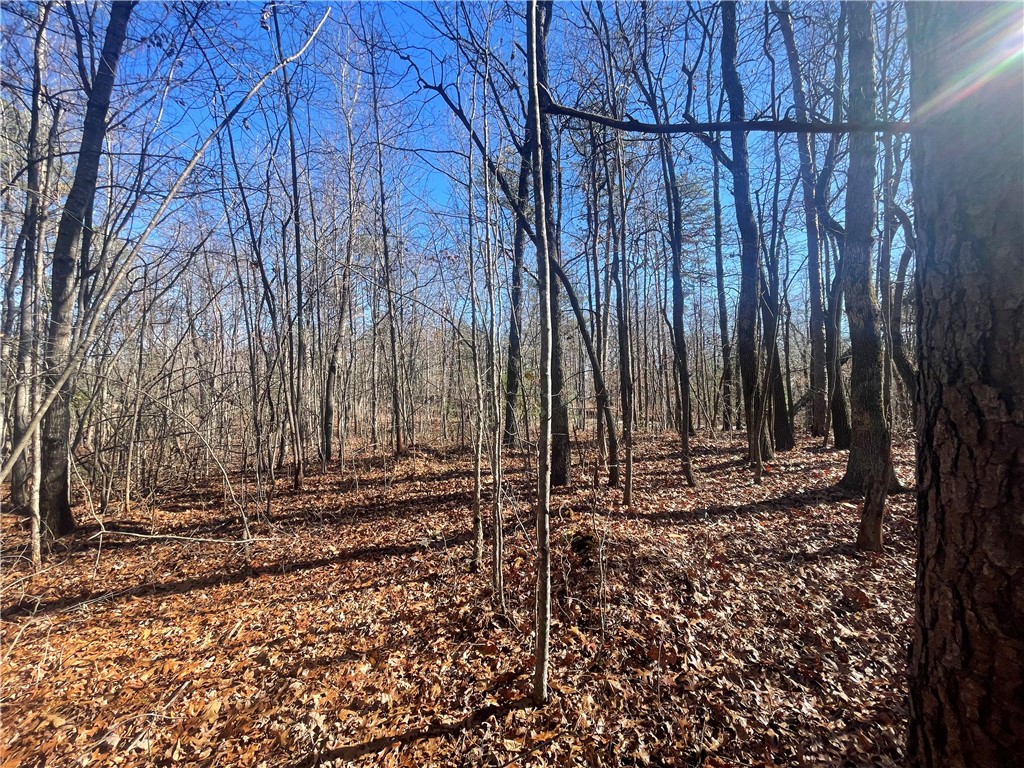 0 Cassidy Bridge Mountain Rest, SC 29664 - Photo 47 of 50