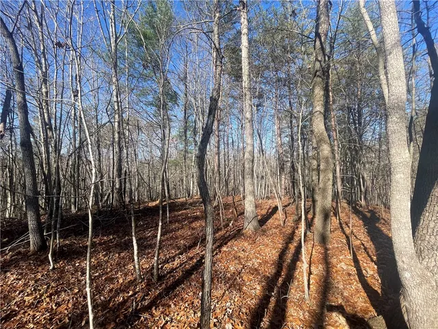 $150,000 | 0 Cassidy Bridge, Mountain Rest, SC 29664