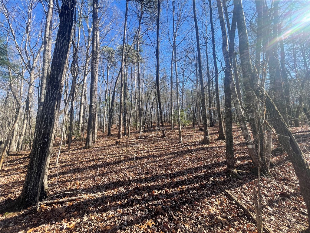 0 Cassidy Bridge Mountain Rest, SC 29664 - Photo 50 of 50