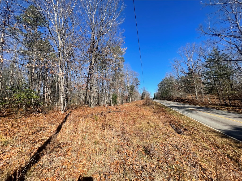 0 Cassidy Bridge Mountain Rest, SC 29664 - Photo 5 of 50