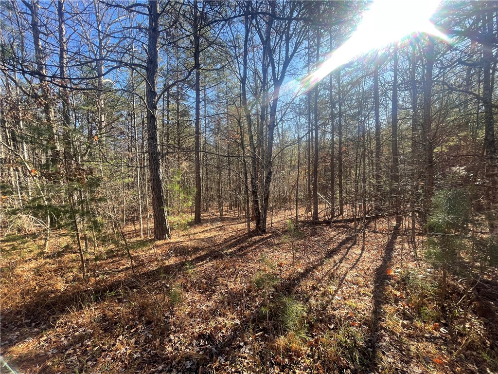 0 Cassidy Bridge Mountain Rest, SC 29664 - Photo 7 of 50