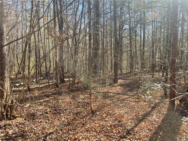 $150,000 | 0 Cassidy Bridge, Mountain Rest, SC 29664