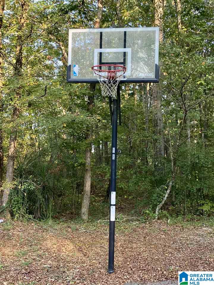 897 Kahatchee Loop Childersburg, AL 35044 - Photo 12 of 45