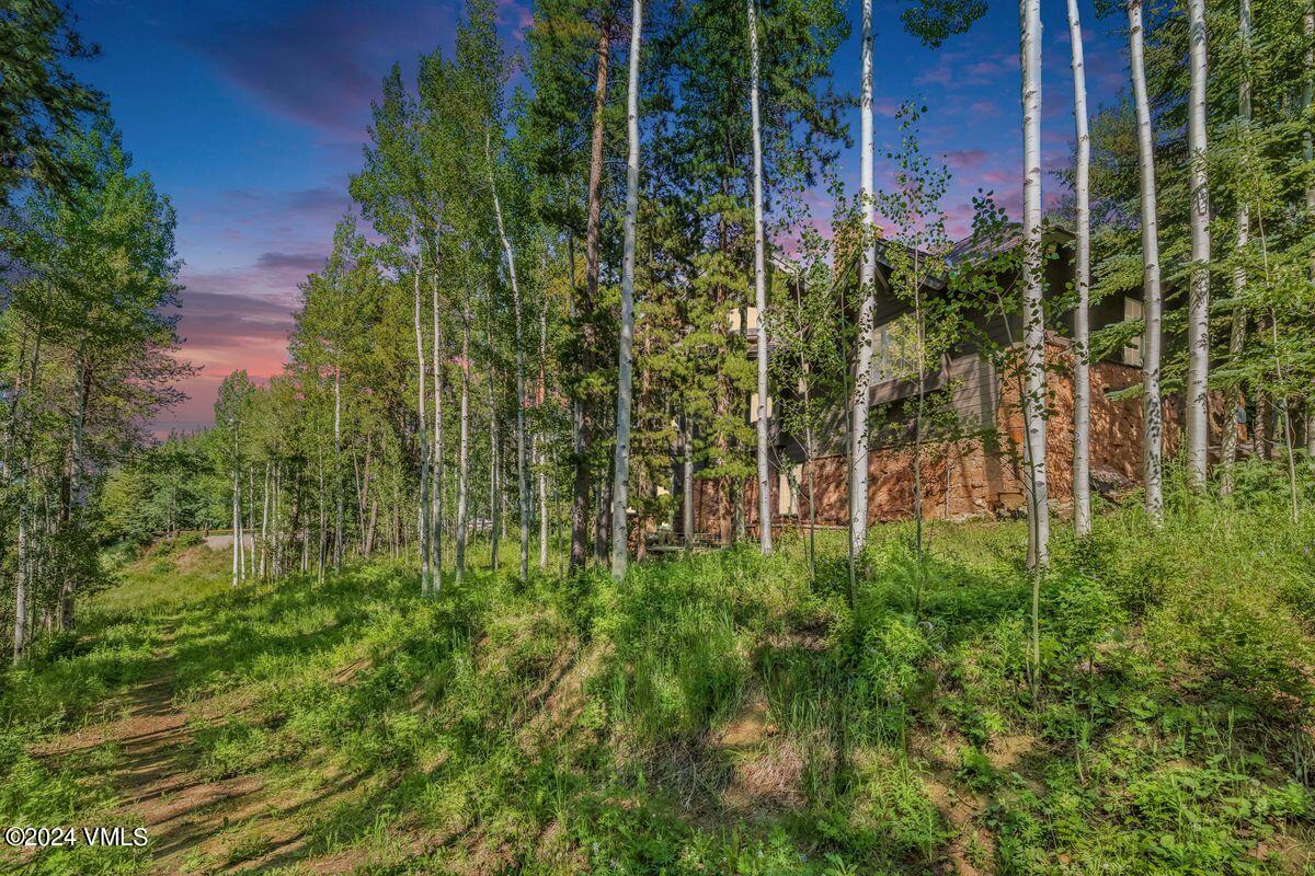 2286 Daybreak Ridge Road Avon, CO 81620 - Photo 31 of 33 a view of a garden with plants