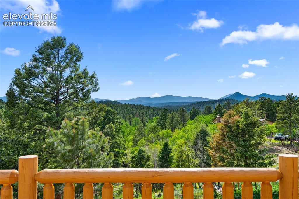 4269 Cedar Mountain Road Divide, CO 80814 - Photo 22 of 39 Picture perfect view from the back deck