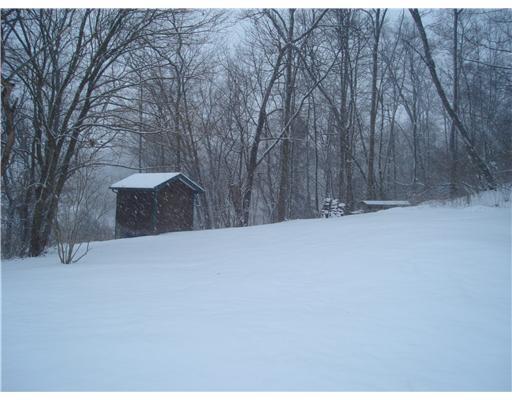 281 State Road Valencia, PA 16059 - Photo 3 of 13 Yard/Garden. SIDE YARD WITH SHED.