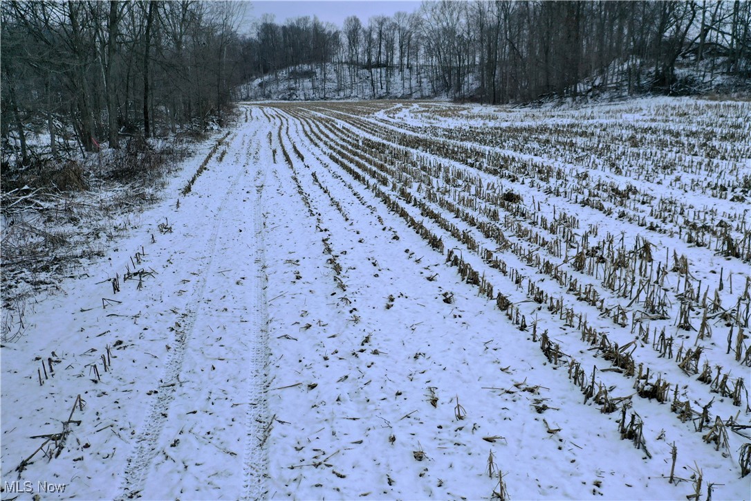 9602 Munson Road Wooster, OH 44691 - Photo 40 of 45 View of yard covered in snow