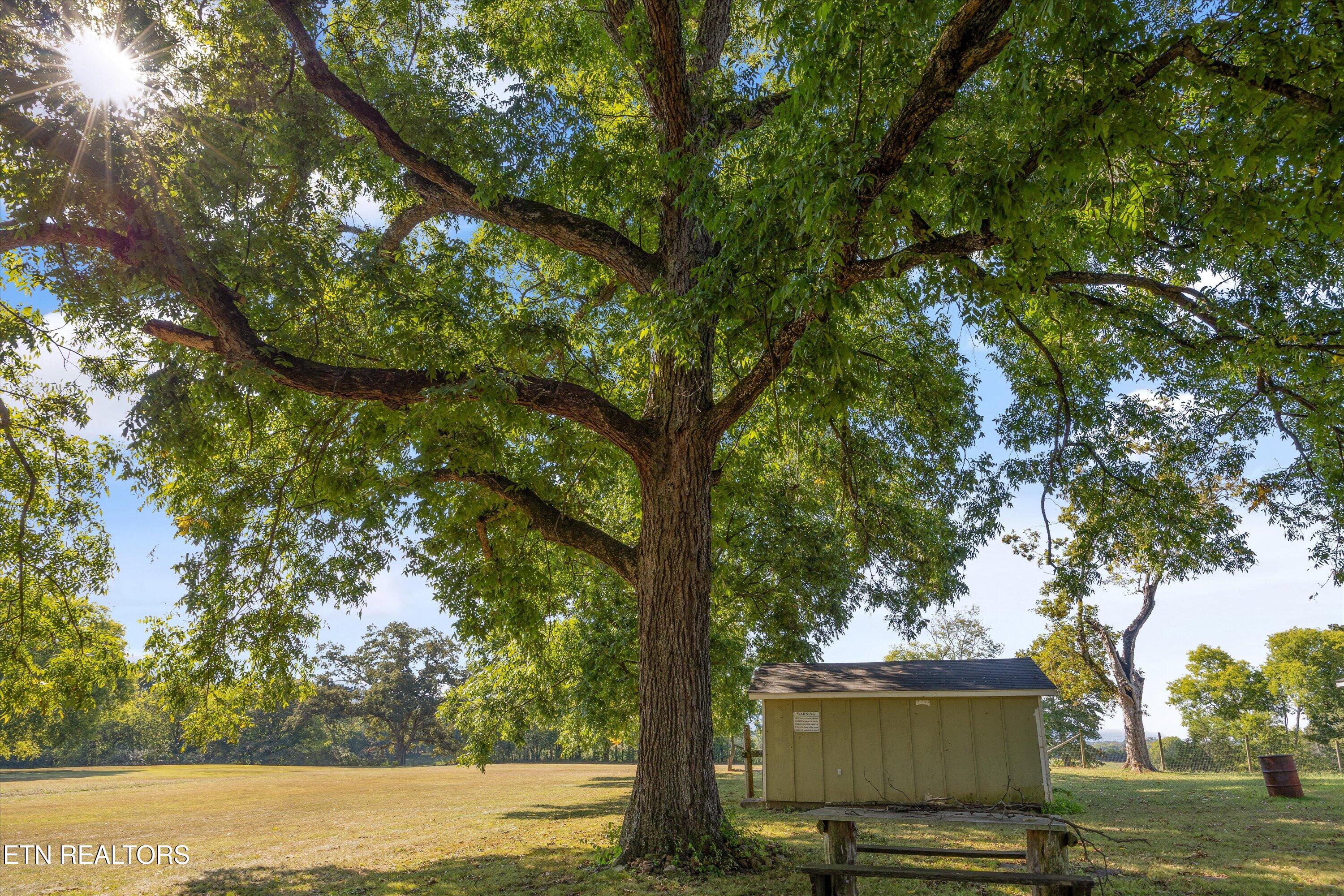 583 County Road 804 Etowah, TN 37331 - Photo 45 of 60 065-583 Co Rd 804-72