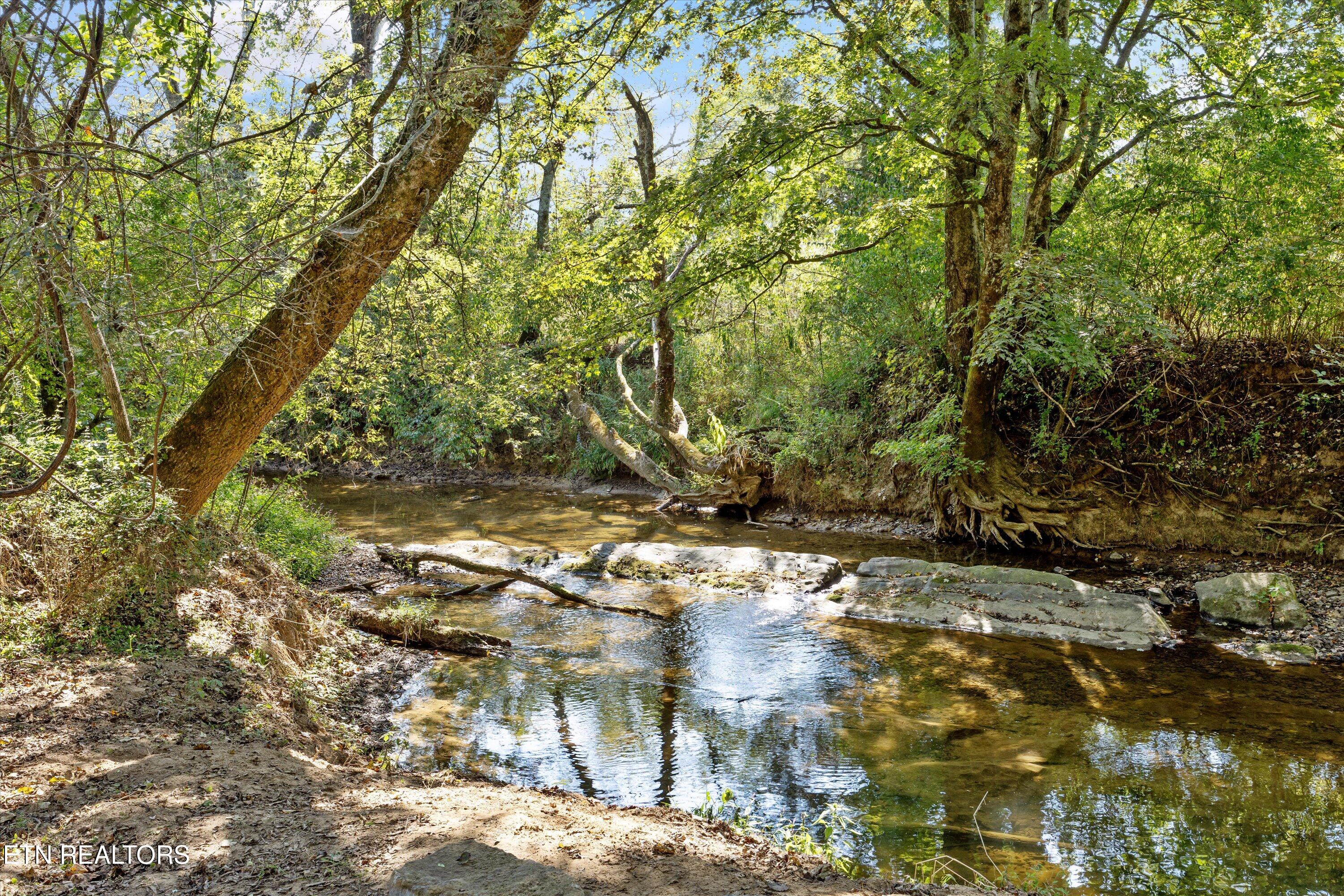 583 County Road 804 Etowah, TN 37331 - Photo 52 of 60 081-583 Co Rd 804-88