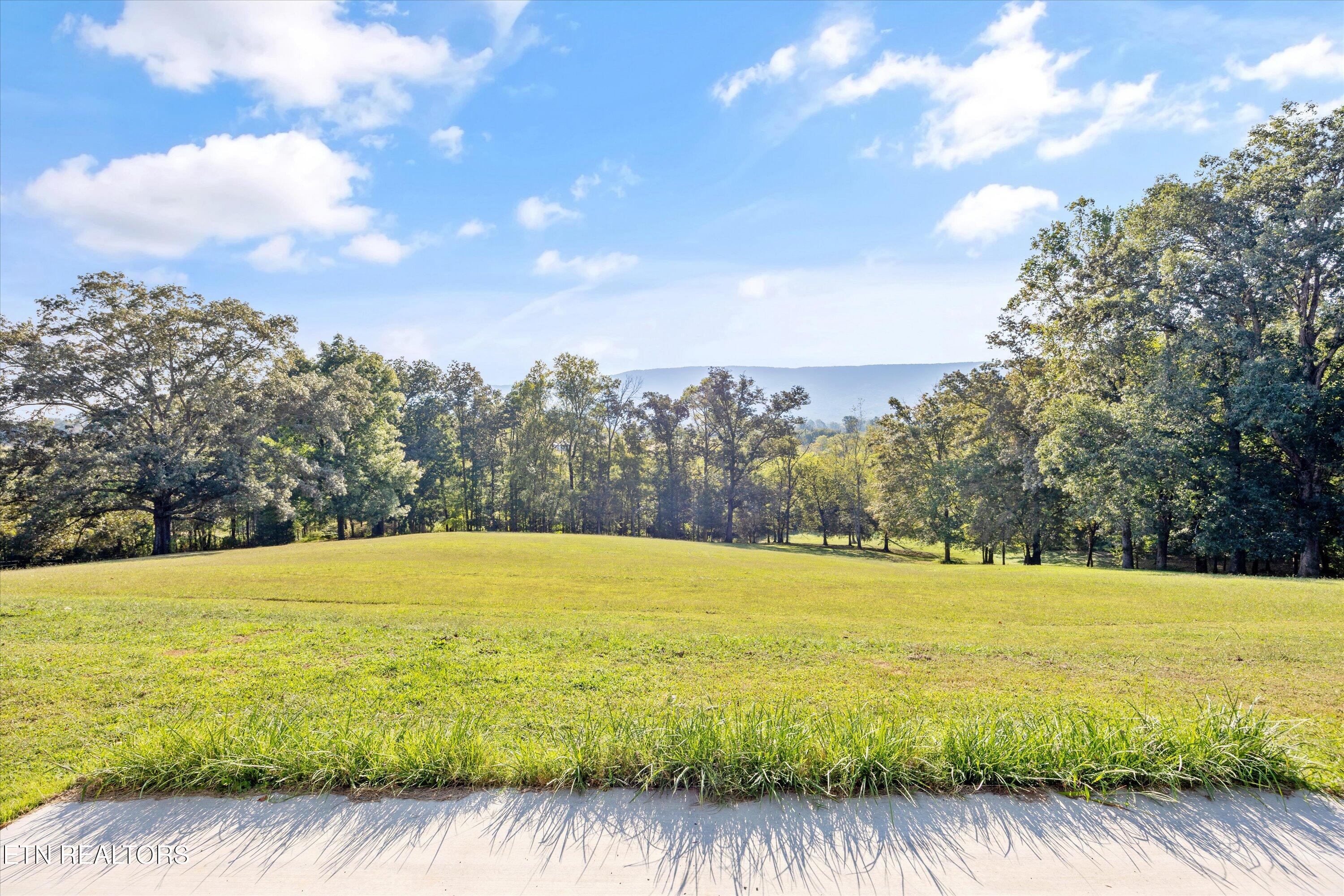 583 County Road 804 Etowah, TN 37331 - Photo 55 of 60 085-583 Co Rd 804-93