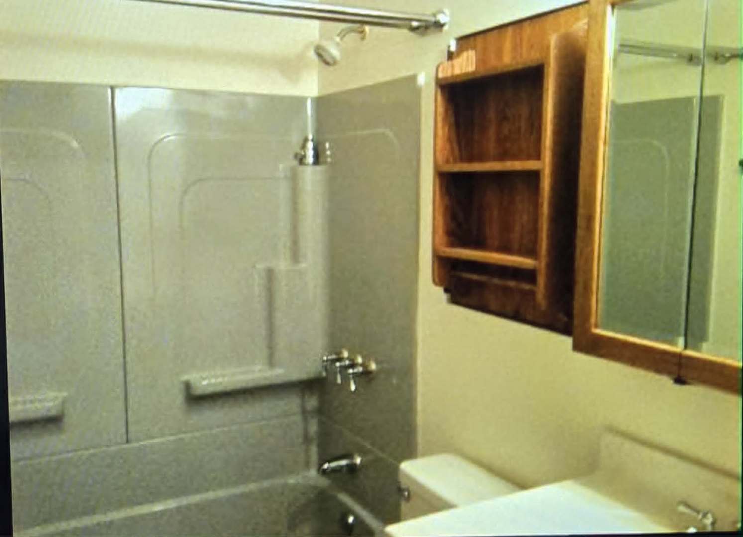 1733 Howe Lane Hanover Park, IL 60133 - Photo 12 of 14