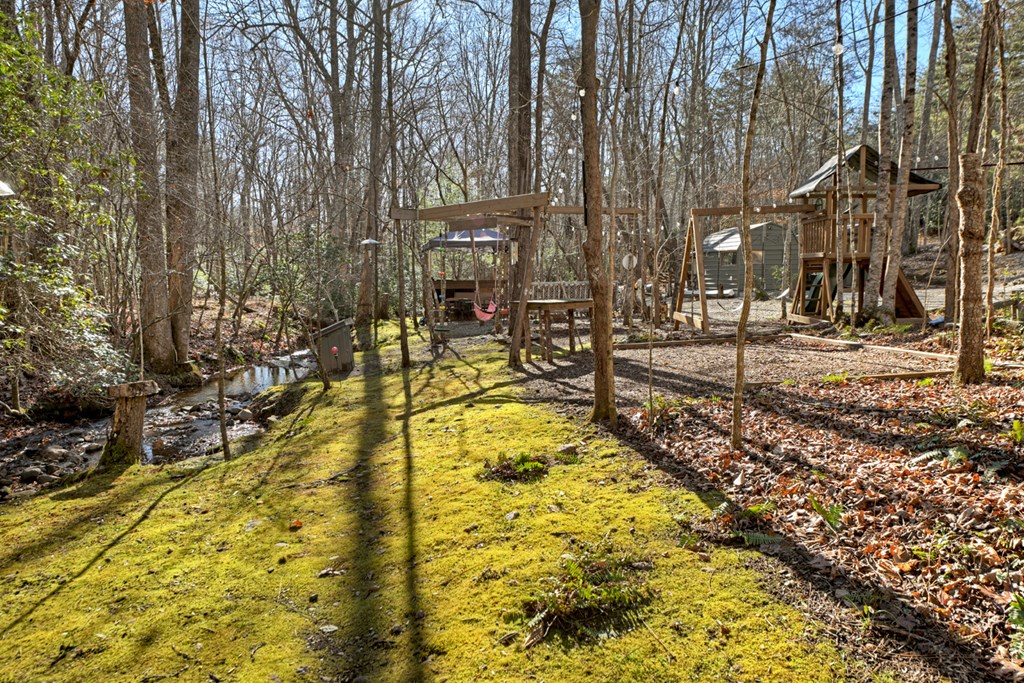 870 Mitchell Branch Road Morganton, GA 30560 - Photo 13 of 41 Gallery Image 13