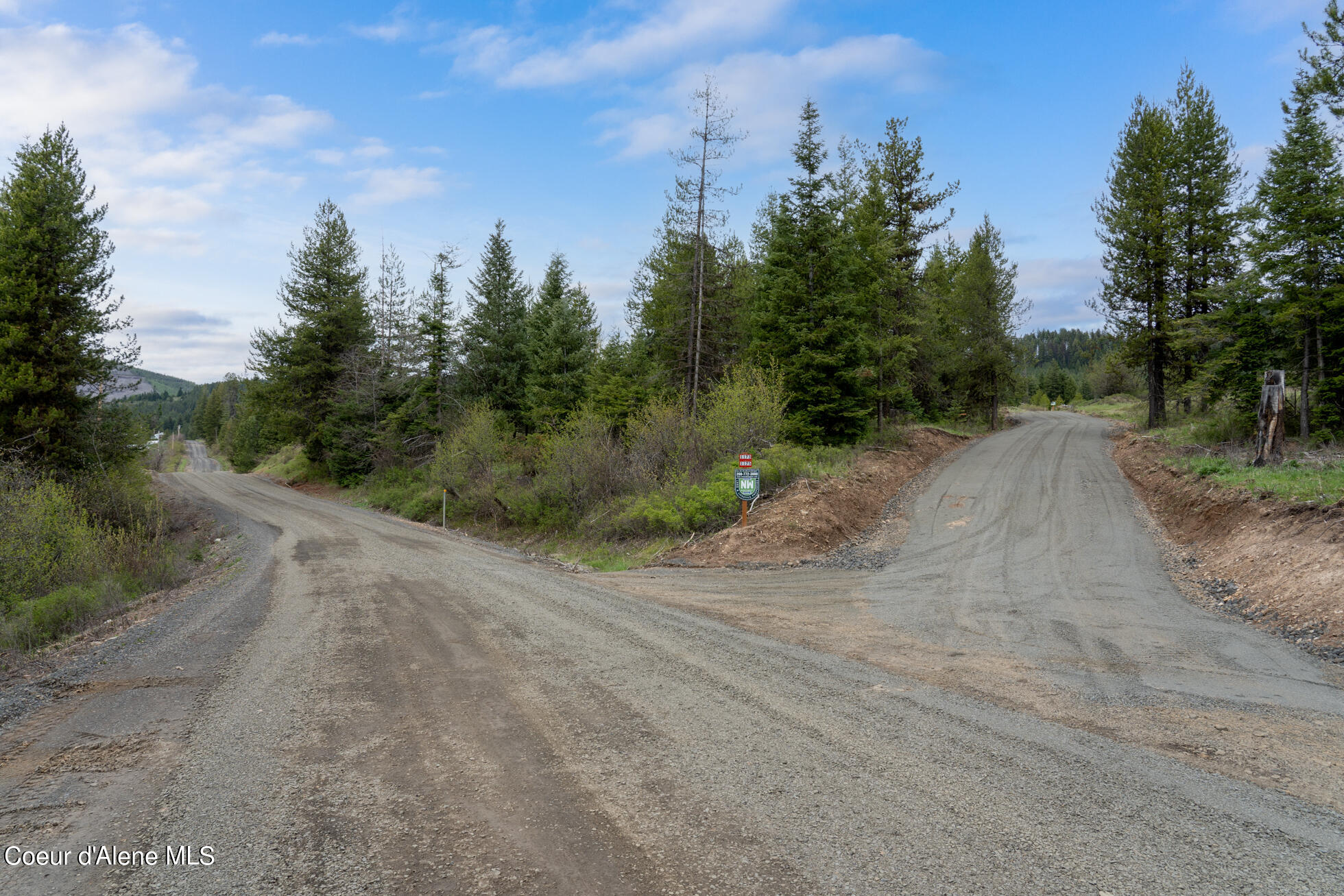 1175 Sheep Creek, Unit PARCEL St. Maries, ID 83861 - Photo 6 of 9 Ext 1