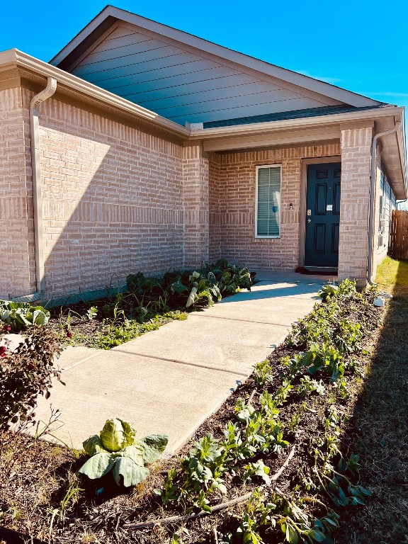 13120 Roving Pass Elgin, TX 78621 - Photo 2 of 21 a front view of a house