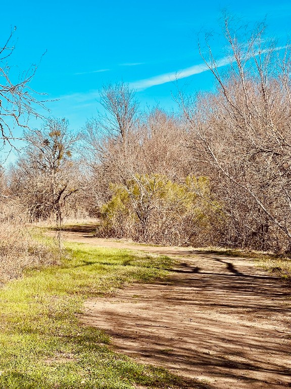 13120 Roving Pass Elgin, TX 78621 - Photo 21 of 21 a view of a ocean view