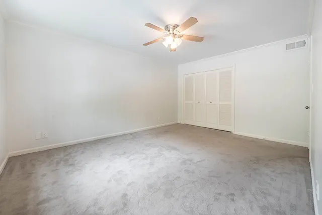 a view of a yard with plants and trees