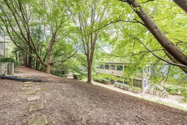 a view of a swimming pool with a garden and trees