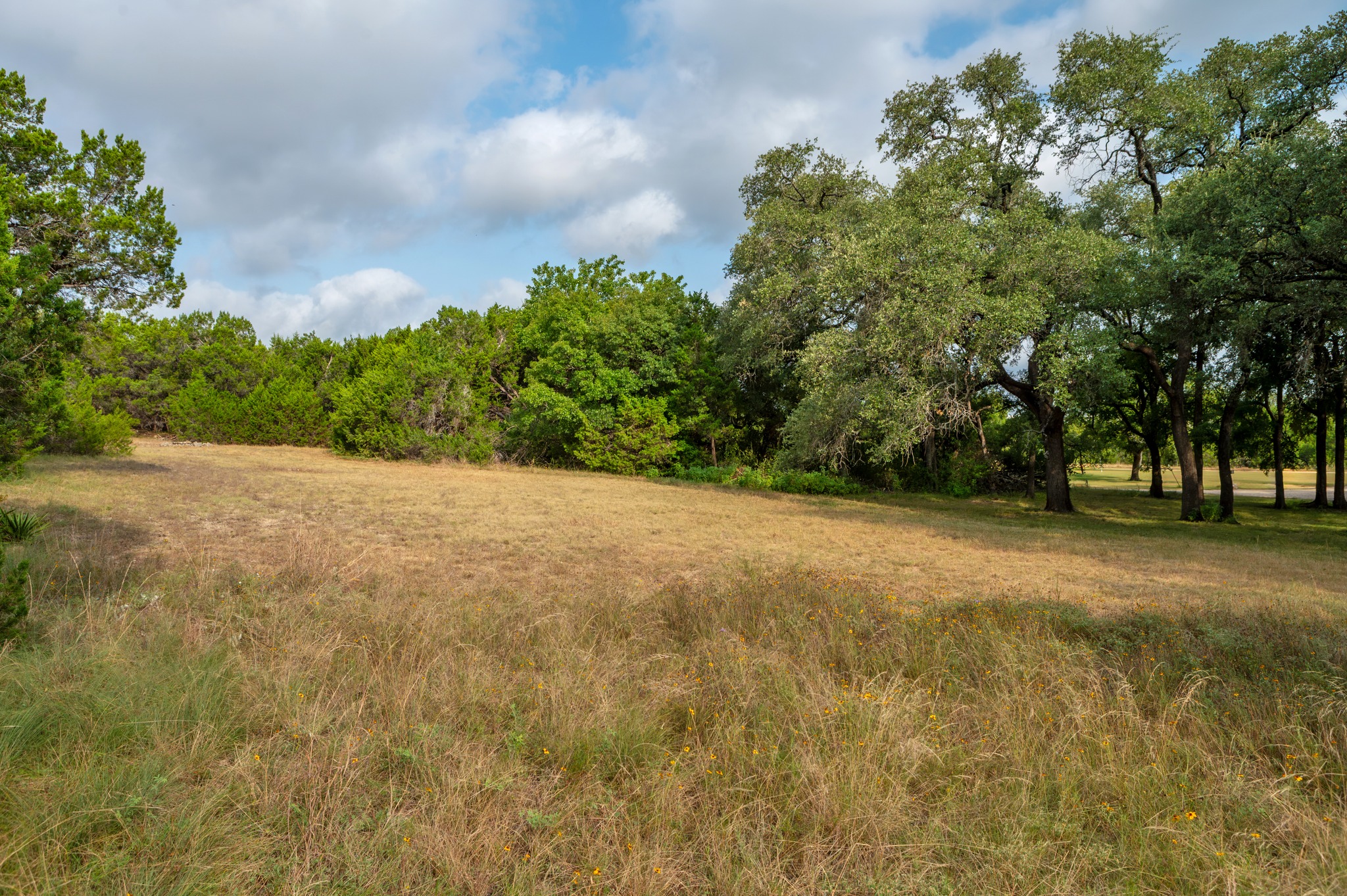 5021 Little Valley Road Leander, TX 78641 - Photo 7 of 32 Wide view of an open grassy clearing with mature oak canopy.