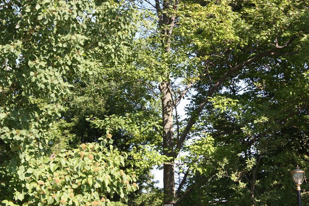 0 Bluff Ledge Road Sturgeon Bay, WI 54235 - Photo 3 of 6