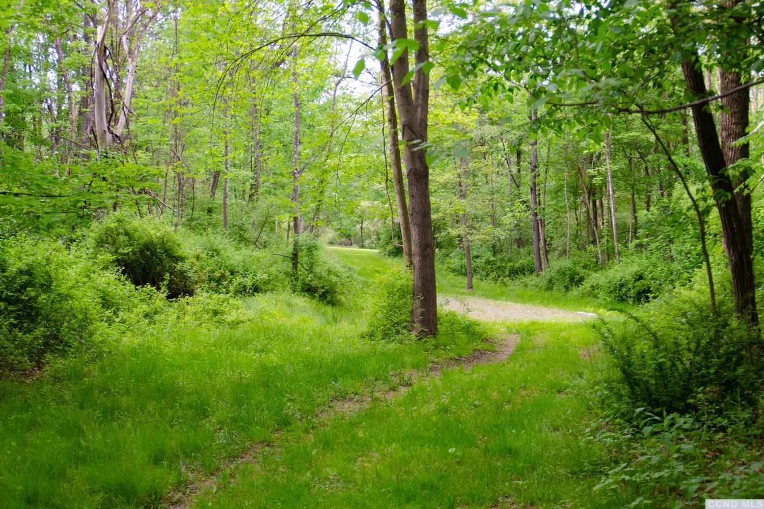 0 Doodletown Road Ancram, NY 12502 - Photo 1 of 16 Photo 1