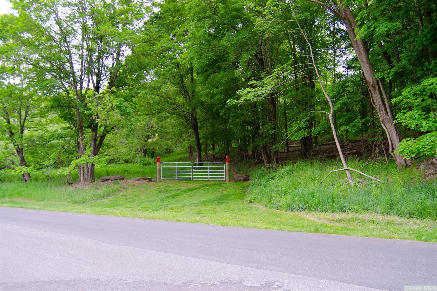 0 Doodletown Road Ancram, NY 12502 - Photo 11 of 16 Photo 11
