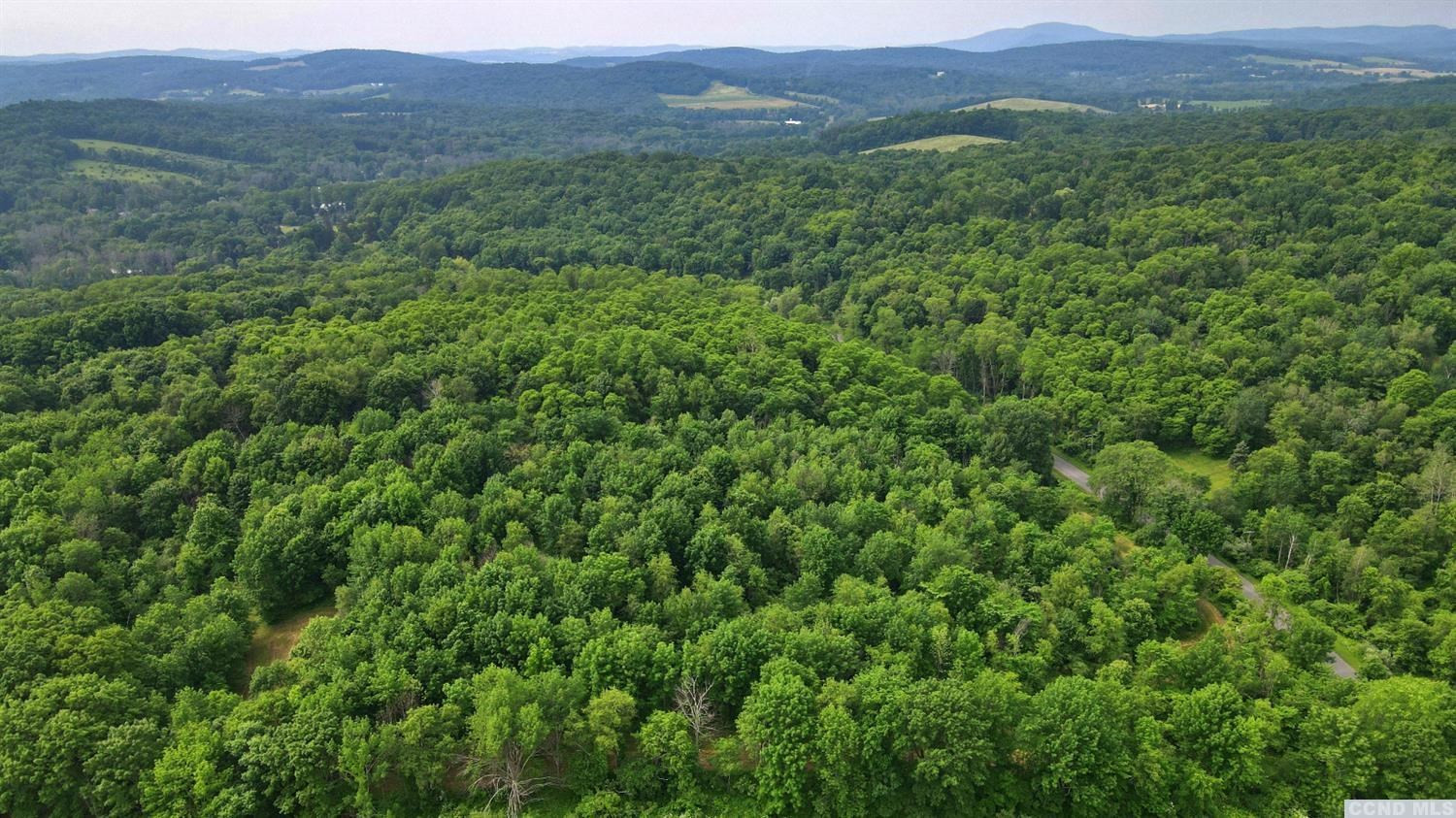 0 Doodletown Road Ancram, NY 12502 - Photo 13 of 16 Photo 13